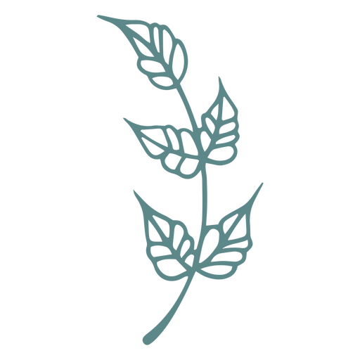 Isolated laurel branch PNG Design