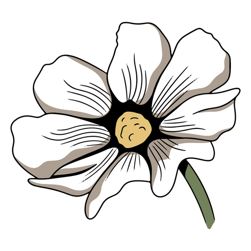 Bella y elegante flor blanca Diseño PNG