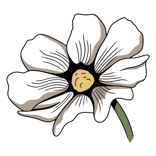 Schöne und elegante weiße Blume PNG-Design