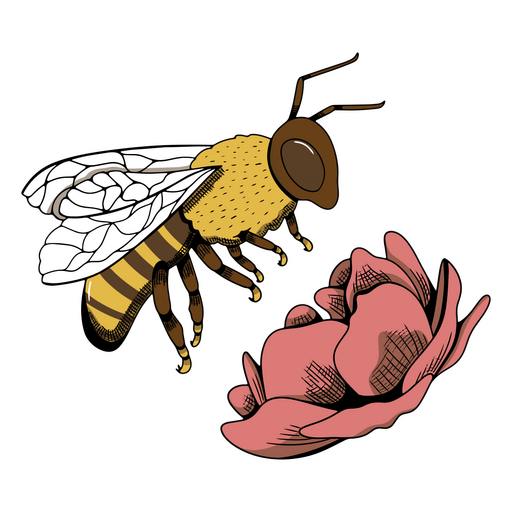 Abelha voando em direção a uma flor rosa Desenho PNG