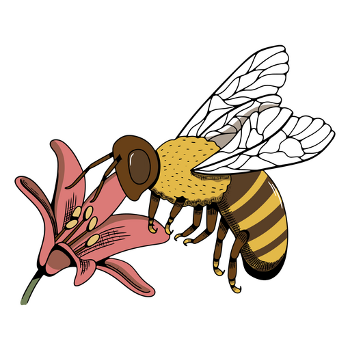 Biene bestäubt eine Blume PNG-Design