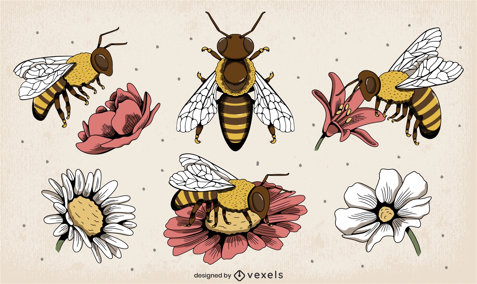 Conjunto de abelhas e flores vintage