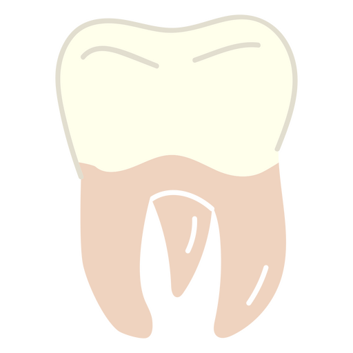 imagem dos dentes do siso Desenho PNG
