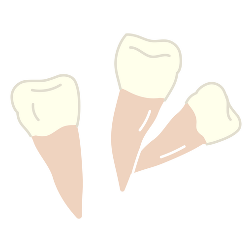 pedaços de dente Desenho PNG