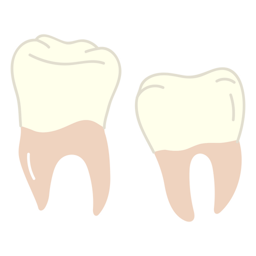 Isolated teeth PNG Design