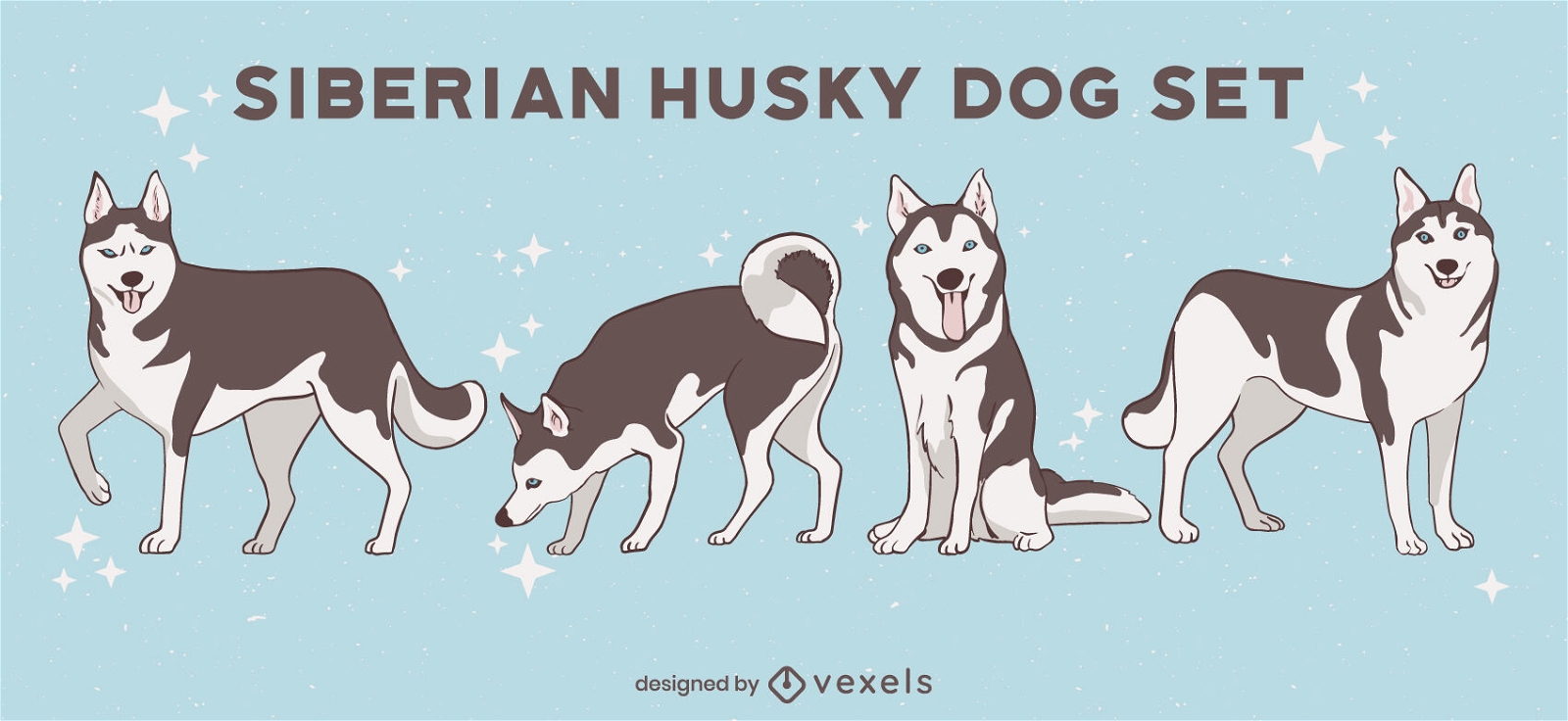 Siberian Husky Hunde Wintertiere gesetzt