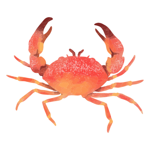 Crab with open claws PNG Design