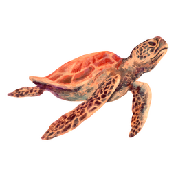 Beautiful Sea Turtle PNG & SVG Design For T-Shirts