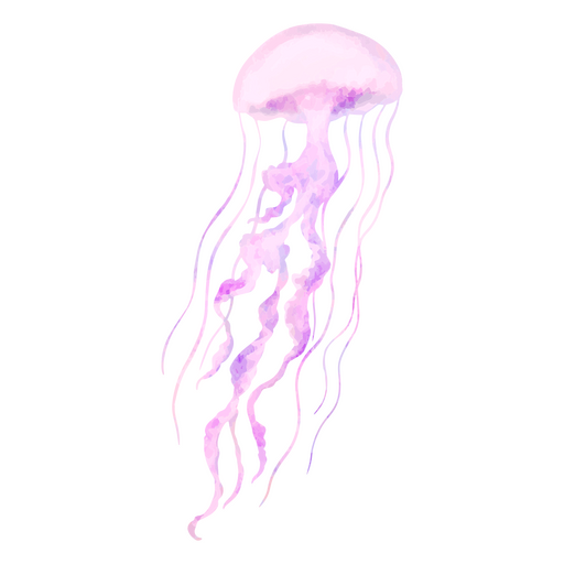 Esplendid jellyfish PNG Design
