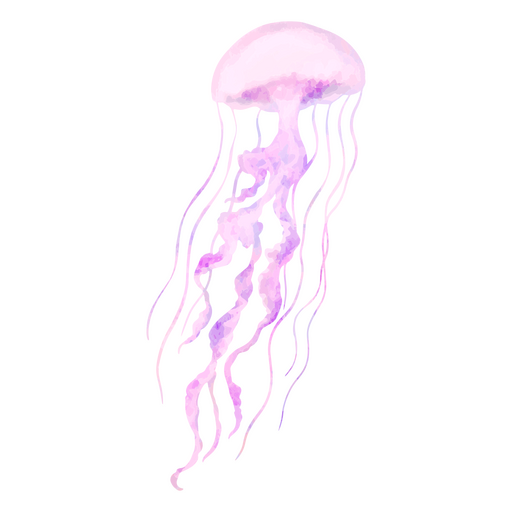 Medusas espléndidas Diseño PNG