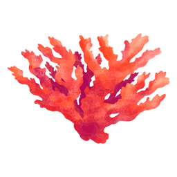 Coral rojo espléndido Diseño PNG