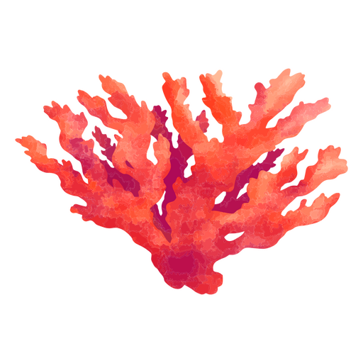 Coral rojo espléndido Diseño PNG
