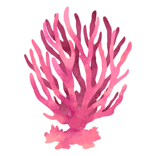 Beautiful pink coral PNG Design