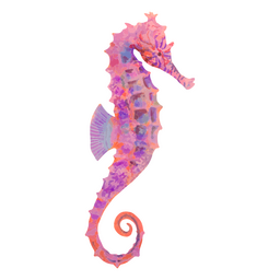 Wunderschönes Seepferdchen PNG-Design