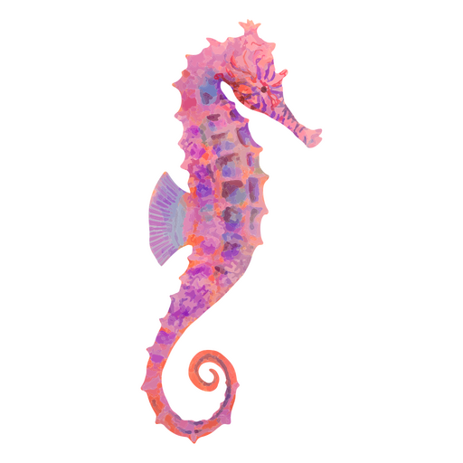 Beautiful seahorse PNG Design