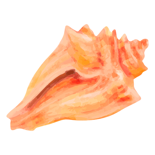 Watercolor seashell PNG Design