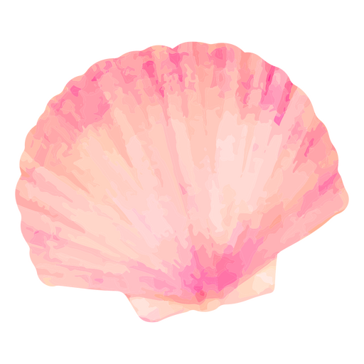 concha de crustáceo Desenho PNG