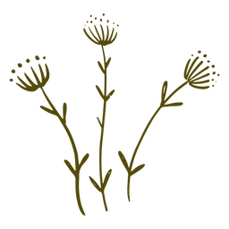 Three greenish branches PNG Design