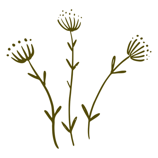 Três ramos esverdeados Desenho PNG