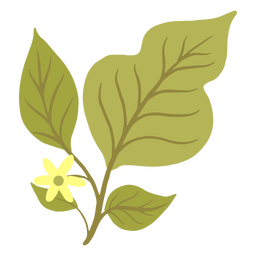Zarter Zweig mit grünen Blättern und einer gelben Blüte PNG-Design
