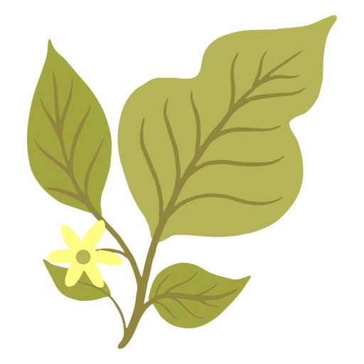 Delicate branch with green leaves and a yellow flower PNG Design