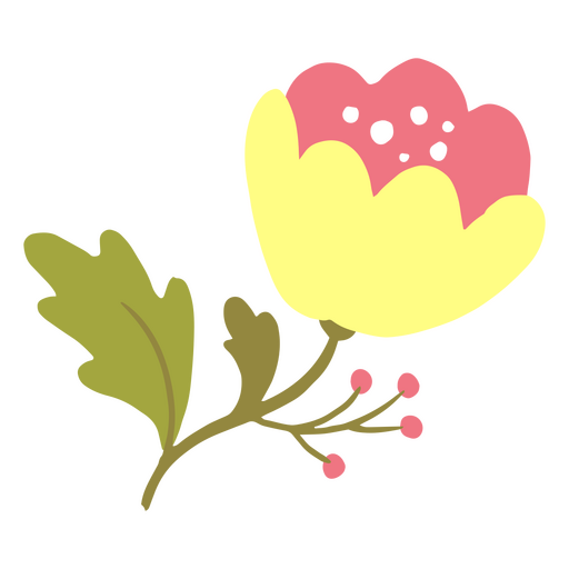 Zarte Blume mit gelben Blütenblättern PNG-Design