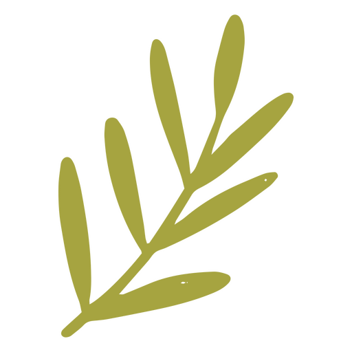 Isolated branch from a houseplant PNG Design