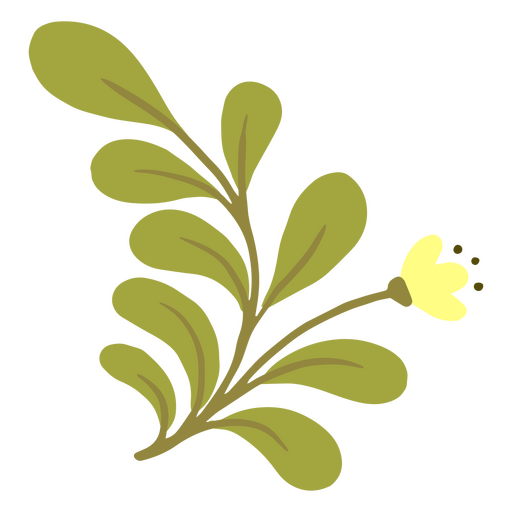 Grünlicher Zweig mit zarter Blüte PNG-Design