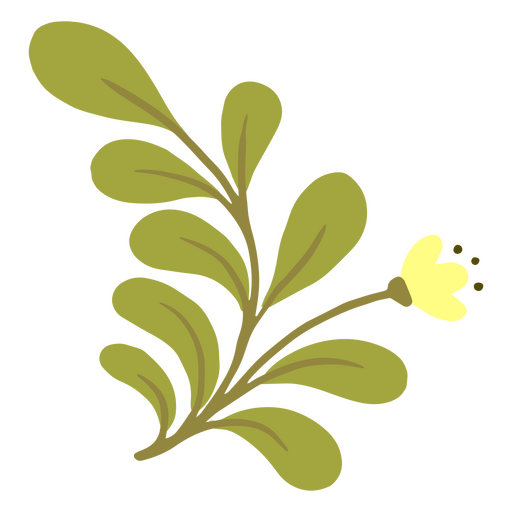 Rama verdosa con una flor delicada Diseño PNG