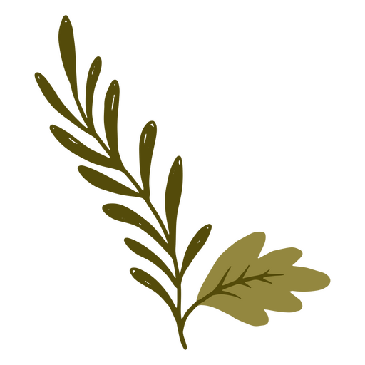 Um ramo esverdeado crescendo Desenho PNG