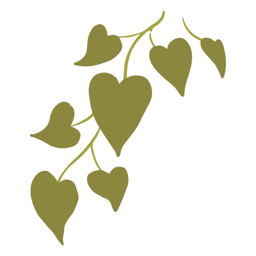 Hojas verdes en forma de corazón Diseño PNG