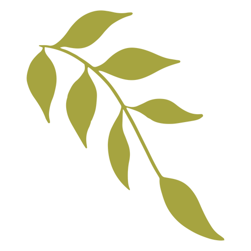 Längliche grüne Blätter PNG-Design