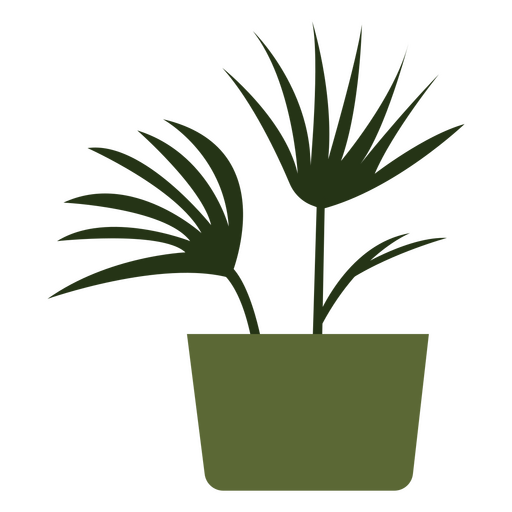 Indoors decoration houseplant nature flat PNG Design