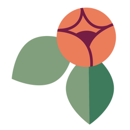 Flor plana de planta de casa Transparent PNG