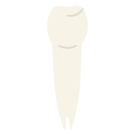 Close-up of a white incisor teeth PNG Design