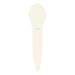 A close-up of a white incisor tooth PNG Design