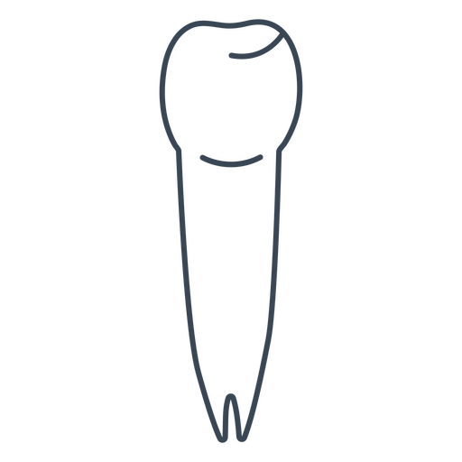 Esboço de um dente Desenho PNG