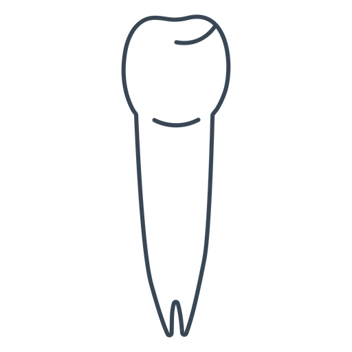 Skizze eines Zahns PNG-Design