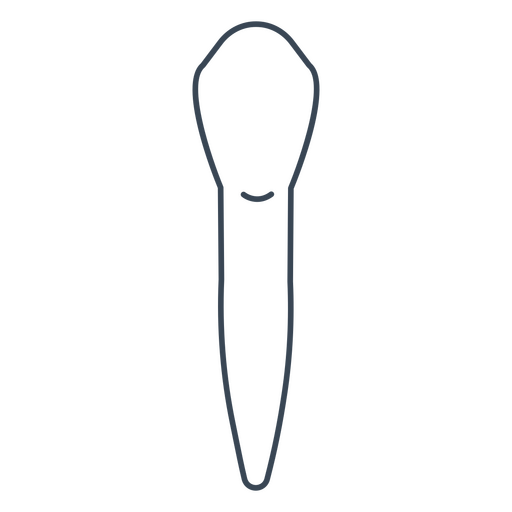 Figura de diente incisivo blanco Diseño PNG