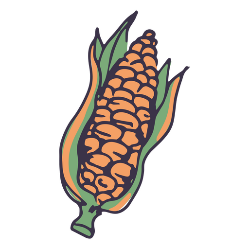 Mazorca de maíz con hojas verdes Diseño PNG