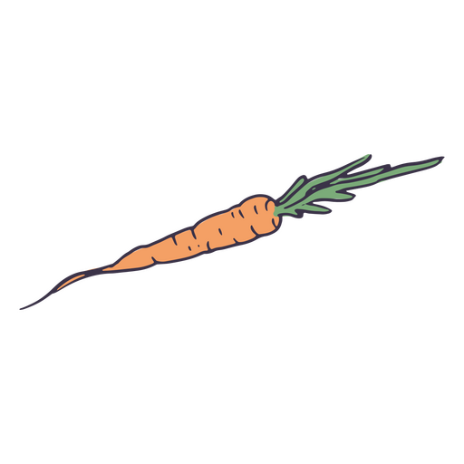 Cenoura fresca pronta para ser cozida em uma deliciosa sopa Desenho PNG