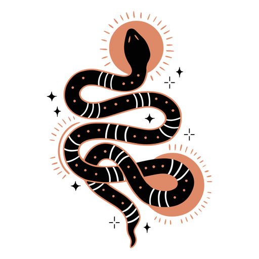 Serpente esotérica Desenho PNG