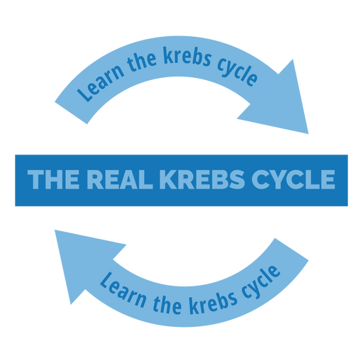 Aprenda o ciclo de Krebs Desenho PNG