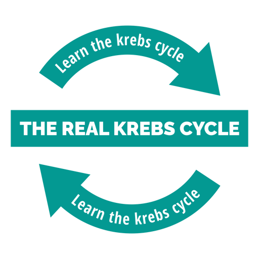Aprende el ciclo de Krebs - pegatina Diseño PNG