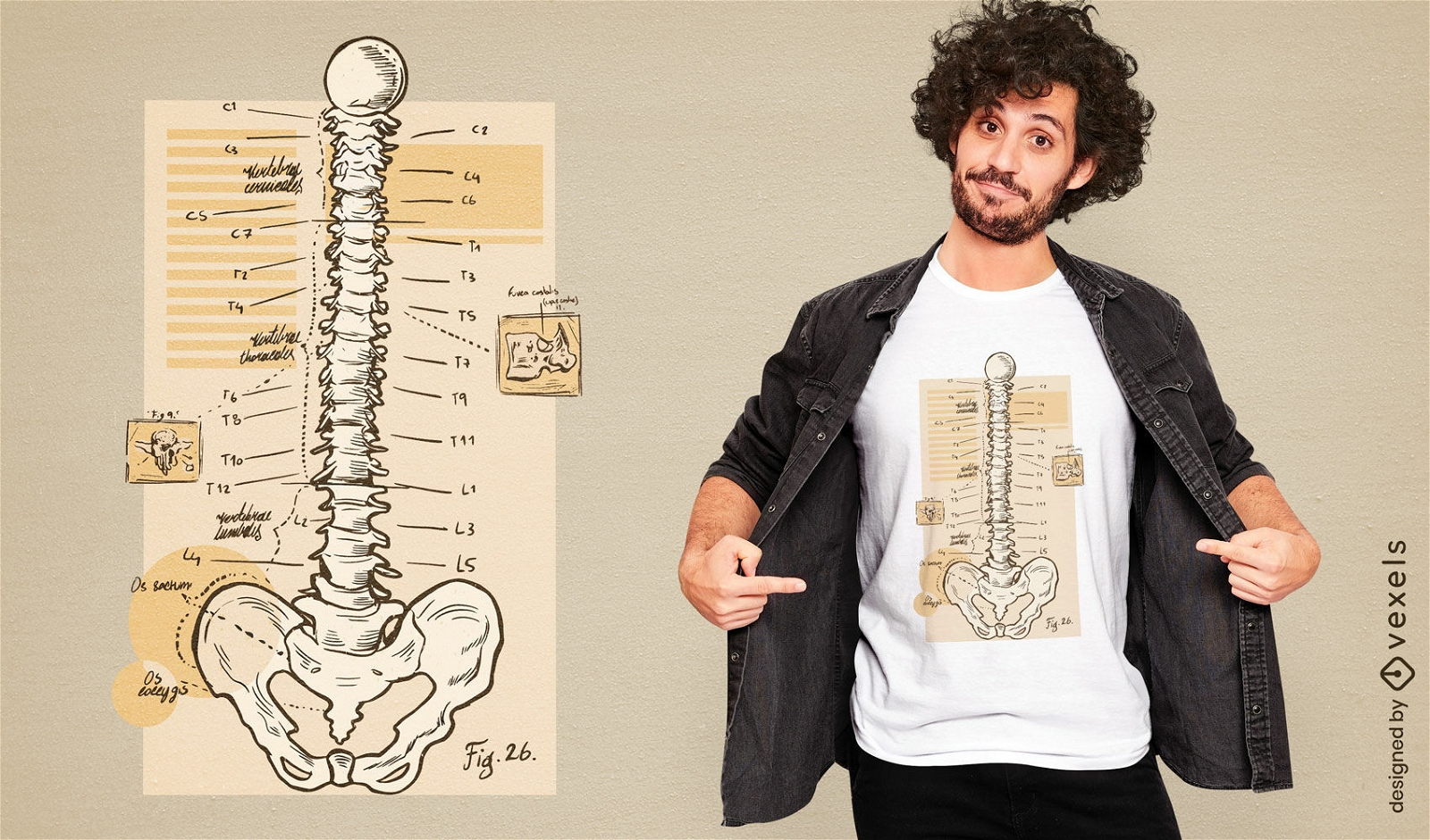 Diseño de camiseta de diagrama de anatomía de columna
