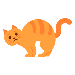Lindo gato semi-plano