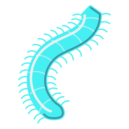 Biolumineszenter Wurmkäfer PNG-Design