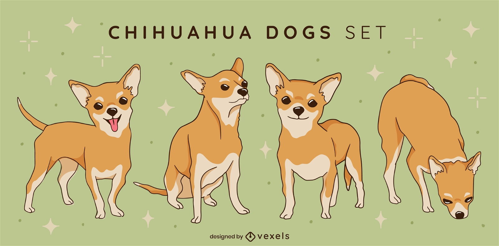 Cenografia de cães Chihuahua
