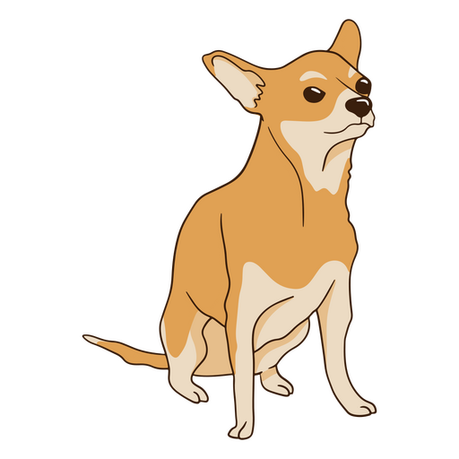 Cão irritado da chihuahua Desenho PNG