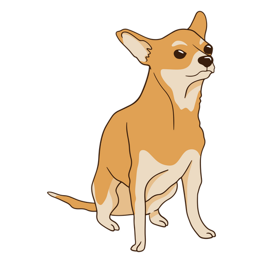 Wütender Chihuahua-Hund PNG-Design
